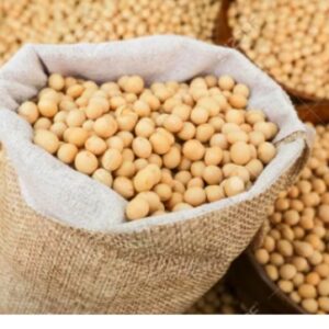 Soybeans